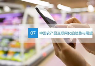 2016年中国农产品互联网化白皮书 全农业概述